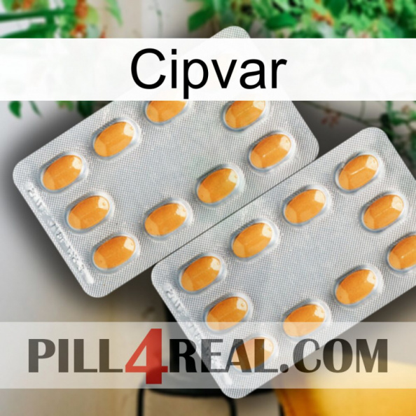 Cipvar cialis4.jpg